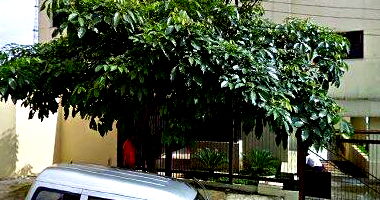 Apartamento com 71,79m², 30% de desconto, desocupado