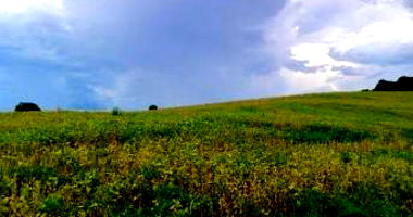 Imóvel Rural com 49.973,64 m² em Apucarana/PR