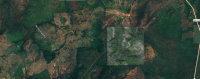 Fazenda São Firmino com 71 hectares, benfeitorias e pastagem
