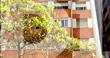 Apartamento com 2 quartos em Santos/SP