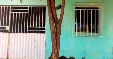 Casa com 2 quartos, 1 banheiro, 79,8m² área privativa, 1 vaga