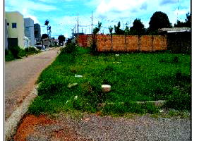 Terreno amplo sem área privativa, ideal para investimento