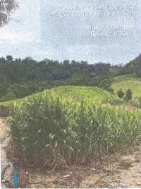 Terreno Rural 30.000m² em Petrolândia/SC -