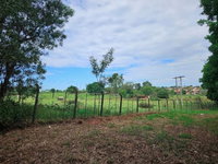 Chácara Rural 24.200m² em Guaraçaí/SP - Ocupada - Lance Inicial R$644.618,00