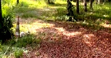 Terreno amplo 1627 m² no Quinhaú, ideal para investimento
