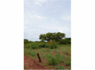 Sítio com 12,84 hectares, ideal para investimento rural