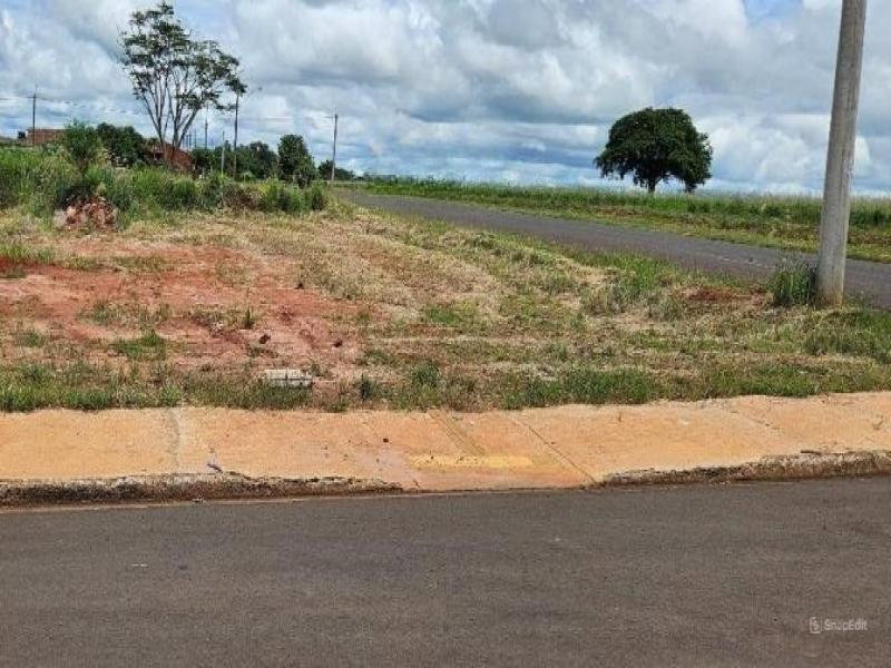 Lote Comercial 150m² em Avenida Principal - Piacatu/SP