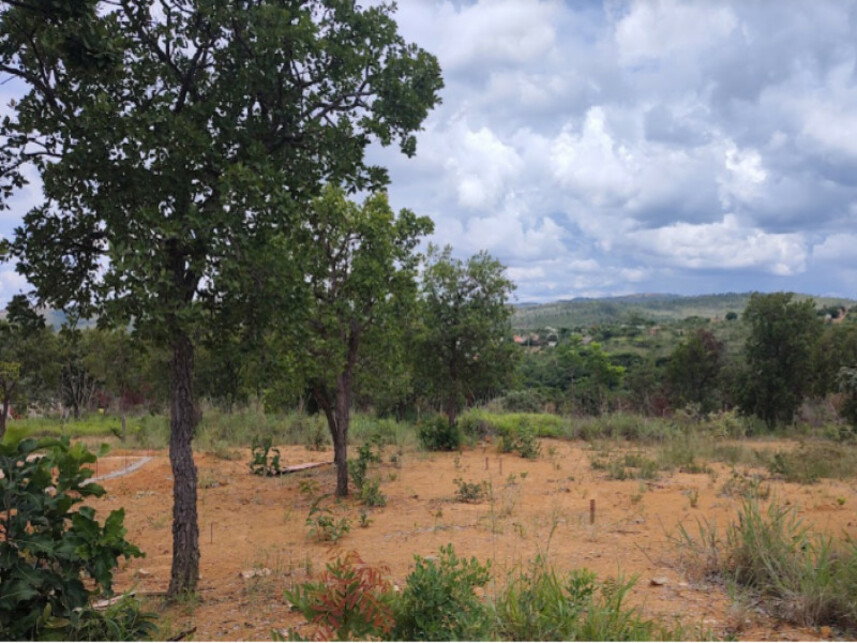 Terreno em Leilão - Garden Ville, Caetanópolis/MG