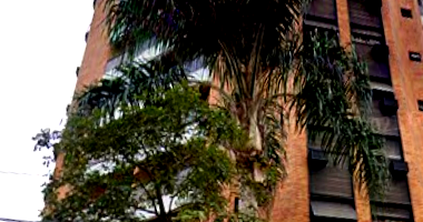 Apartamento com 1 quarto e 1 banheiro no Jardim Paulista