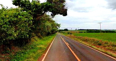 Chácara com 4,49 hectares e estrutura industrial em Cândido Mota/SP