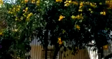 Casa em leilão com 311,04m² de área construída