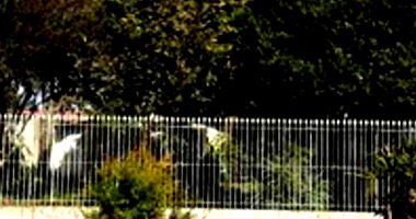 Terreno com 754m² e 118m² construídos em Curitiba/PR