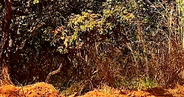 Terreno de 360m² em Portal das Águas Quentes