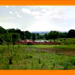 Imóvel Industrial/Residencial em Crato - 3,07ha