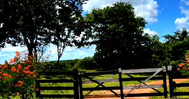 Fazenda com 707,01 ha e benfeitorias em Tocantinópolis/TO