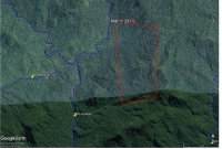 Imóvel Rural de 242 hectares em Guaraqueçaba - PR
