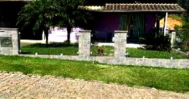 Casa com 3 quartos em Rodeio/SC