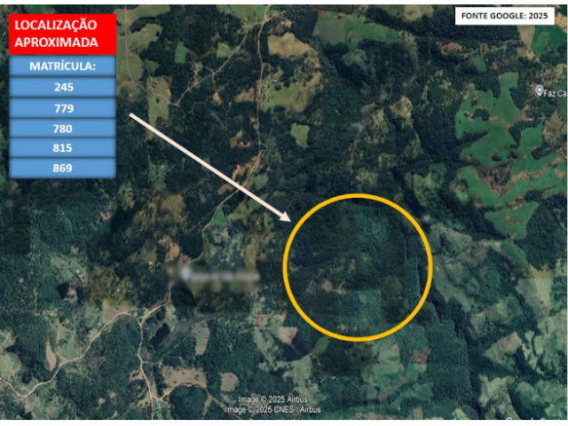 Sítio com 28,76 hectares em Catanduvas - Oportunidade de Investimento