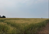 Terreno rural com 8.800m², ideal para investimento