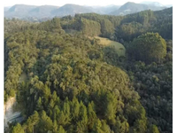Chácara com 3,60ha em Fazenda do Tamanduá