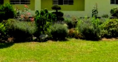 Terreno Rural de 49,0752ha em São Miguel Arcanjo - SP