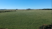 Parte de Terras de Campo e Capoeiras com 764.504,24m² em Pontão/RS