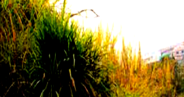 Loteamento Larez em Juruaia