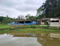 Parte Ideal de 50% do imóvel, 42.150,76m²