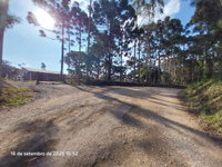 Chácara com 9,68 hectares desocupada em Campina Grande do Sul