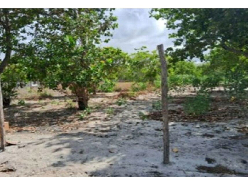Terreno amplo desocupado com 16.432m², ideal para loteamento