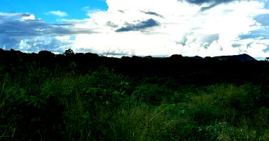 Terreno de 230m² com 10m de frente, ideal para construção