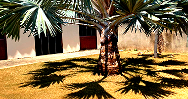 Terreno em Paranaita com 450m² de área