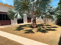 Terreno em Paranaita com 450m² de área