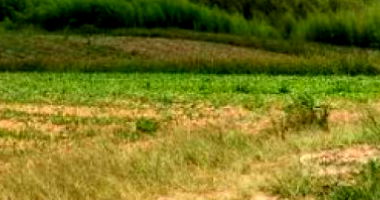 02,39,71 HA de imóvel rural na Fazenda Mata Burros