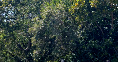 Área Rural com 9,71 ha em Uirapuru/GO