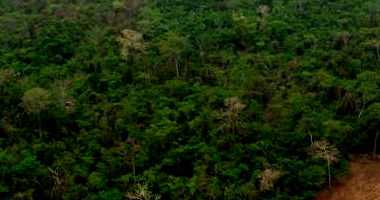 Fazenda rural com 301 hectares em Vila Bela da Santíssima Trindade