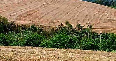 Direitos Possessórios Imóvel Rural em Campo Magro/PR