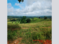 Área Rural em Açailândia - MA