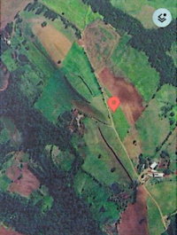 Área Rural de 46.000m² em Caiçara/RS - Oportunidade de Investimento
