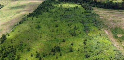 Gleba Rural com 121.000 m² - Janiópolis/PR
