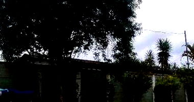 Casa padrão ocupada com 3 quartos, 2 banheiros e 1 vaga