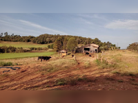 Área Rural 118.840 m² em Celso Ramos/SC - Matrícula 11.702
