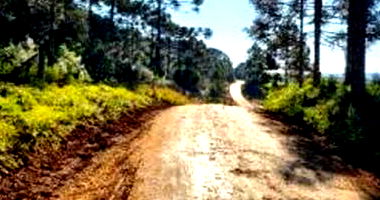 Imóvel Rural com 48.400m² em General Carneiro/PR