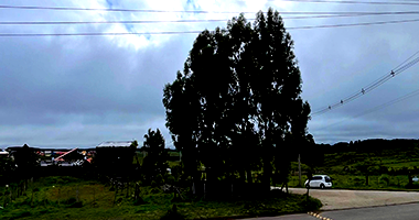 Terreno em Cambará do Sul com 491m²