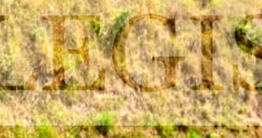 Terreno Urbano com 952,30m² em Serra Negra/SP