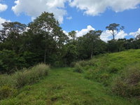 Lote Rural com 10,3146 ha em Lindoeste/PR