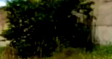 Terreno Amplo em Leilão - Centro