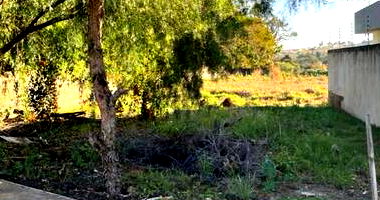 Lote de terras em Campo Mourão/Pr com 244,81m²