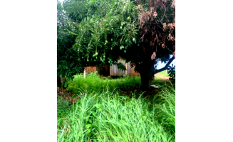Terreno 450m² em Rolim de Moura/RO