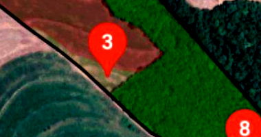 Imóvel Rural com 14,53ha, área fértil e preservada, ocupado